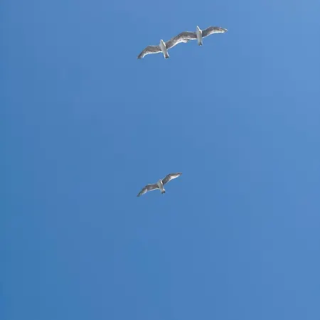Seaforyou * Gdańsk